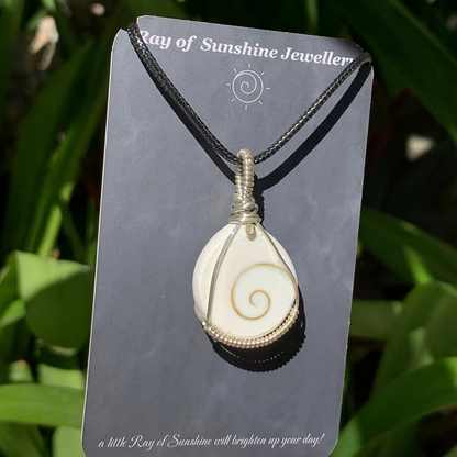 Shiva shell wrapped in silver wite pendant on a 'Ray of Sunshine Jewellery' card against a green leafy background